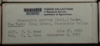 Image Associated With the Occurence